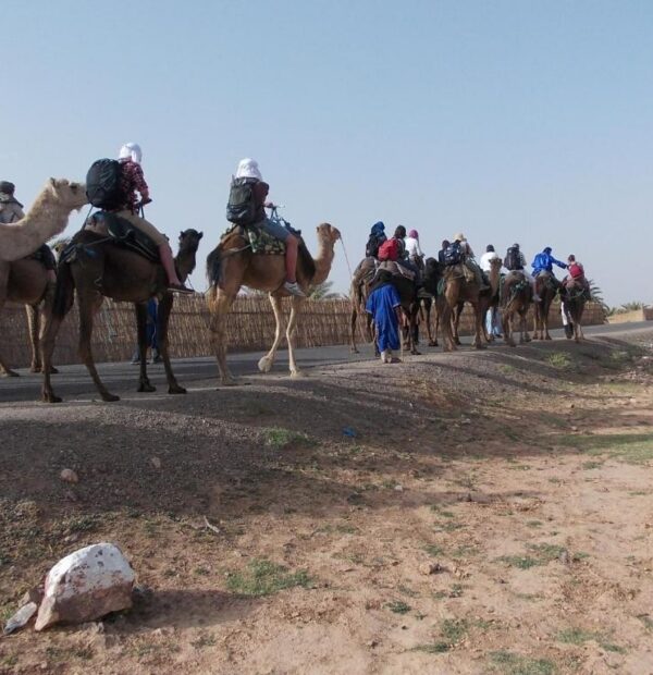 Nuit dans le désert depart en dromadaire