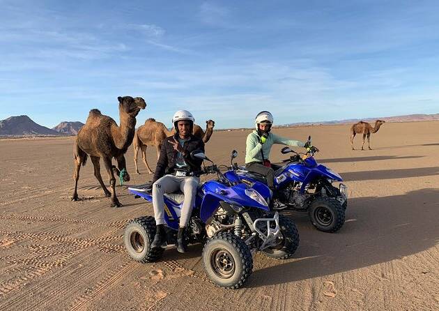 Quad combiné avec Dromadaire