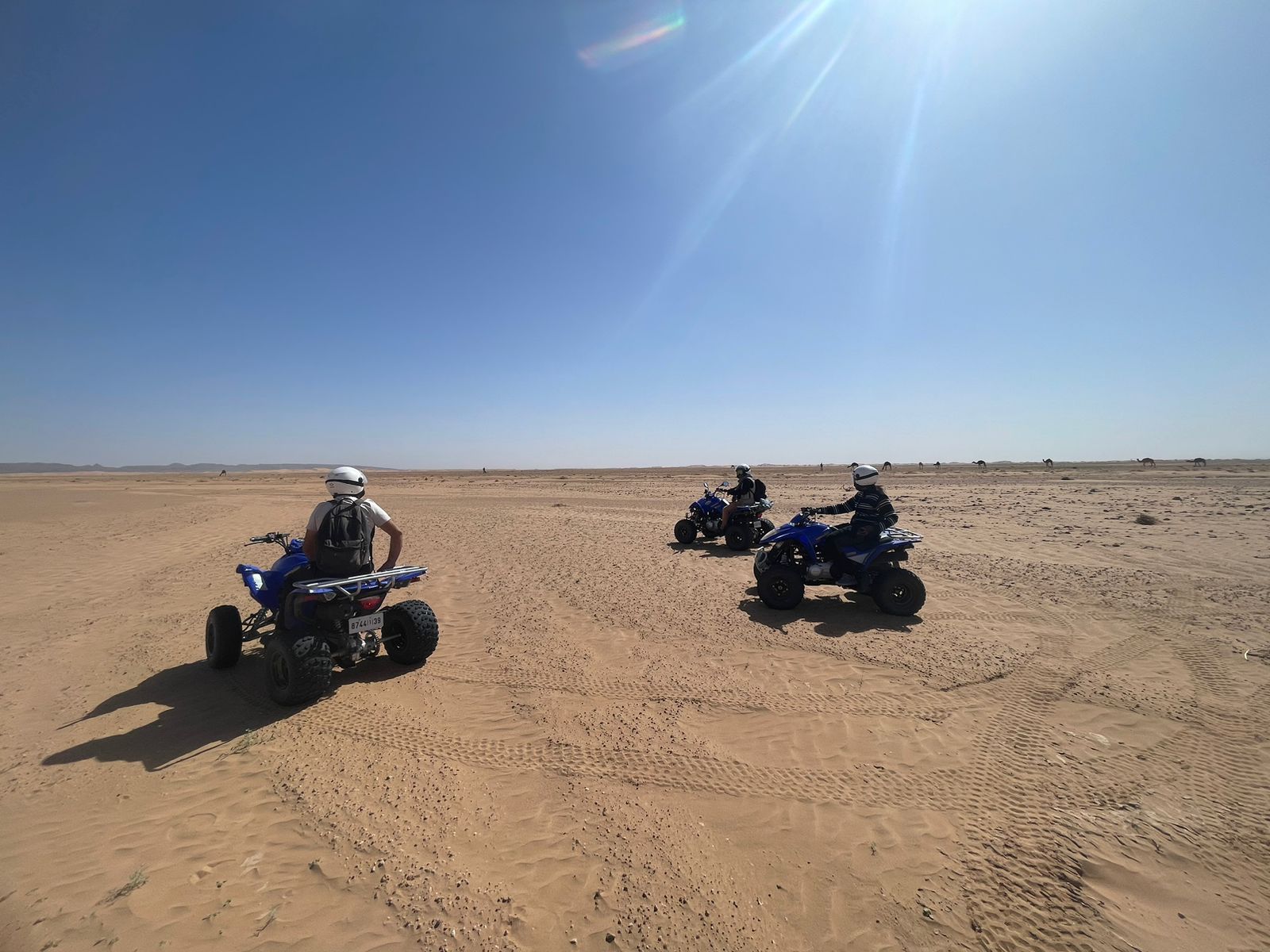 Quad combiné avec Dromadaire – Image 2