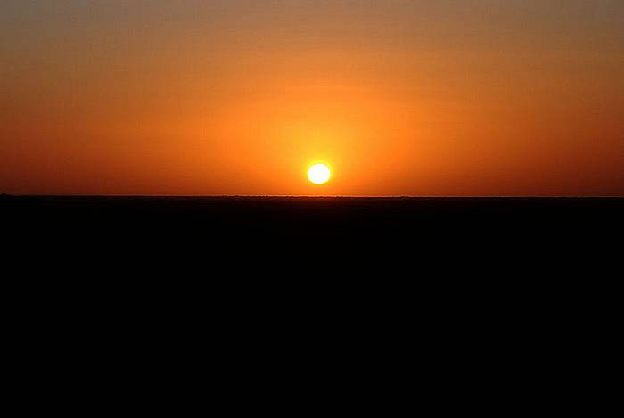 Quad combiné avec Dromadaire – Image 4