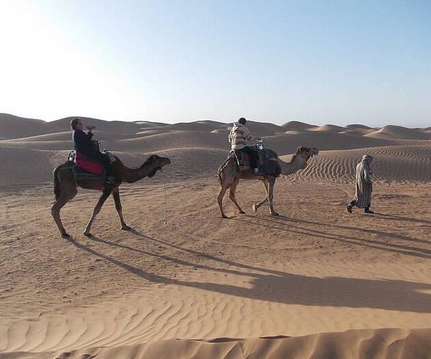 Quad combiné avec Dromadaire