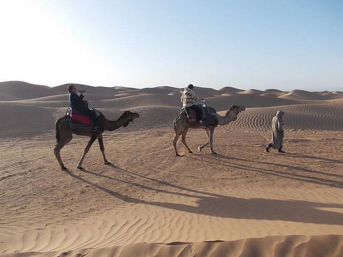Quad combiné avec Dromadaire